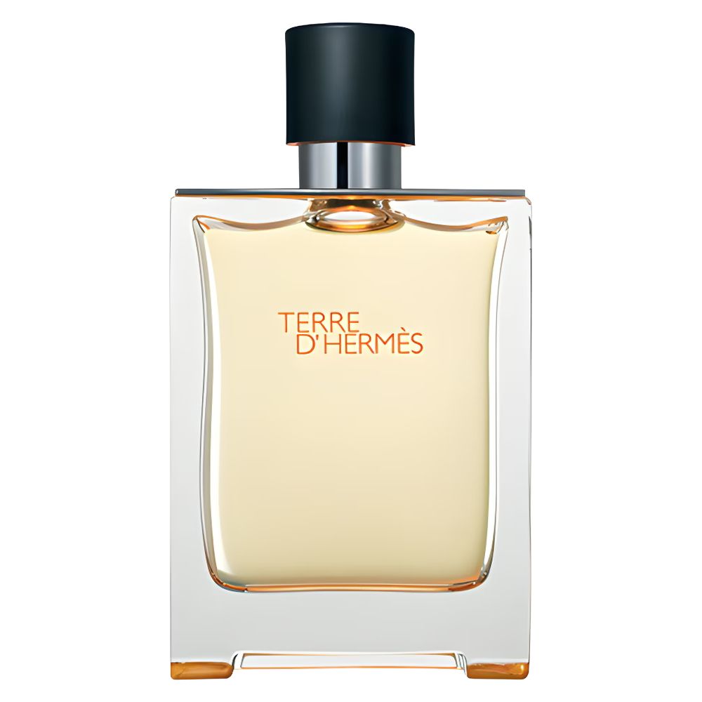 Terre d'Hermès edt 100ml