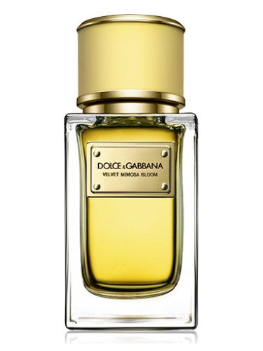 DOLCE & GABBANA VELVET MIMOSA BLOOM (W) EDP 150ML